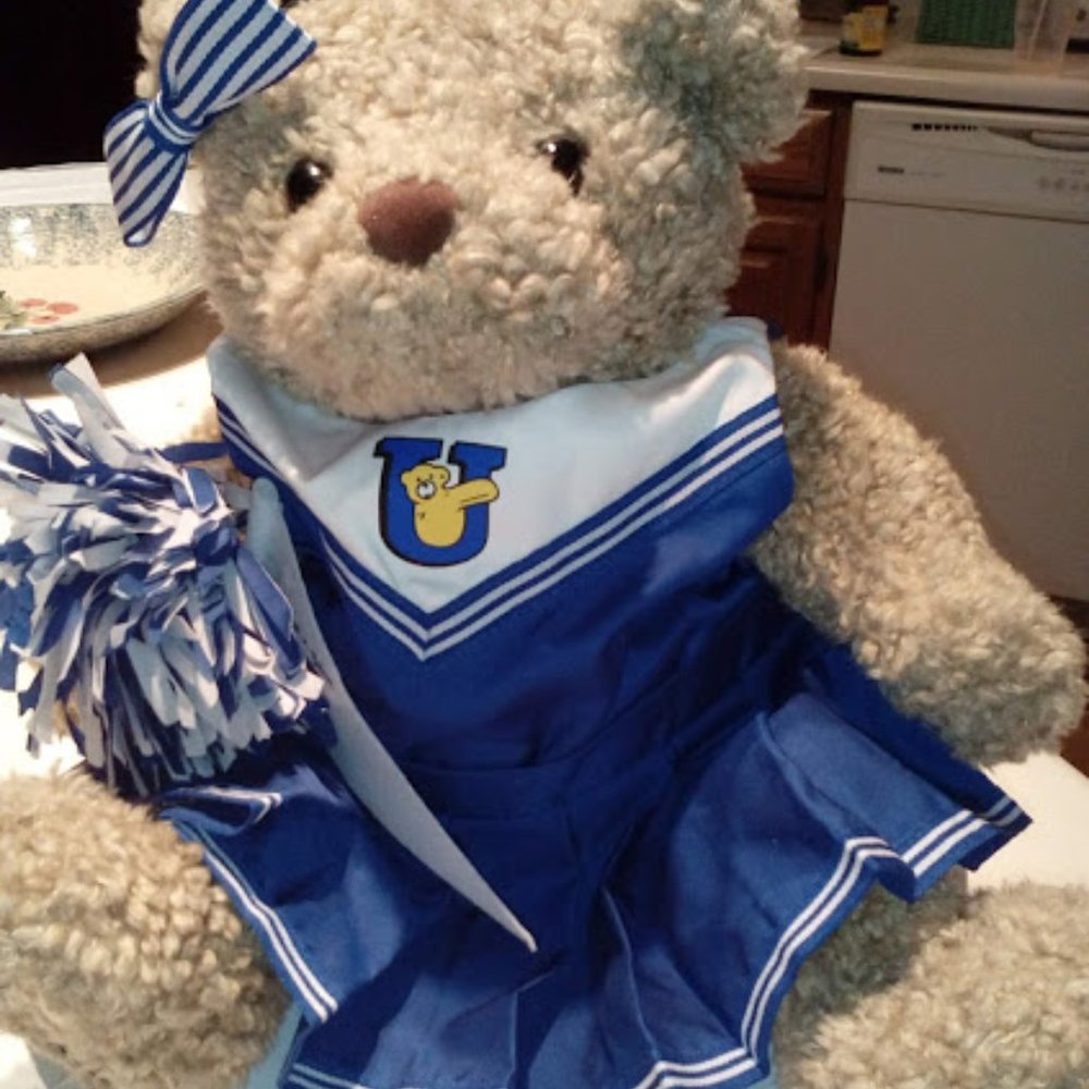 Kentucky-Similar: Build-a-Bear Cheerleader! Full Costume!